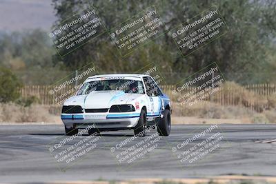 media/Oct-12-2025-Lucky Dog Racing (Sun) [[8adb5568ea]]/1-First Stint/6-Turns 2 and 1 Exit/